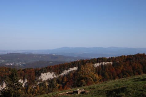 Aussichtspunkt Vogelberg Naturpark Thal