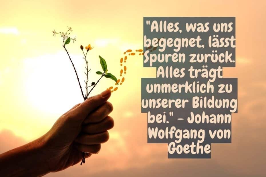 Titelbild 122 Zitate von Johann Wolfgang von Goethe die inspirieren. Ein Strauss Blumen mit Zitat: "Alles, was uns begegnet, lässt Spuren zurück. Alles trägt unmerklich zu unserer Bildung bei." - Johann Wolfgang von Goethe