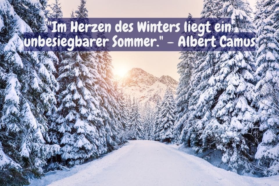 Winterlandschaft - 43 Winter-Sprüche Zauberhafte Weisheiten