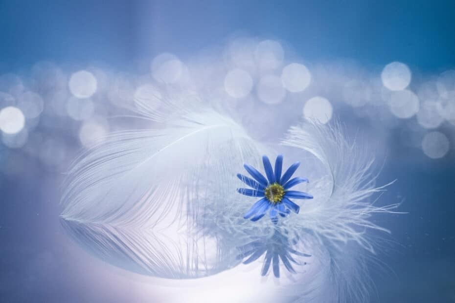 Eine blau, gelbe Blume schwebt auf den Wolken - Aufbauende Sprüche für die Seele(1)