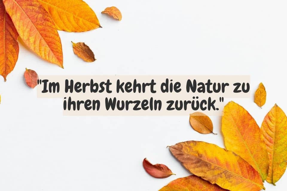 Herbstblätter und Zitat:"Im Herbst kehrt die Natur zu ihren Wurzeln zurück."