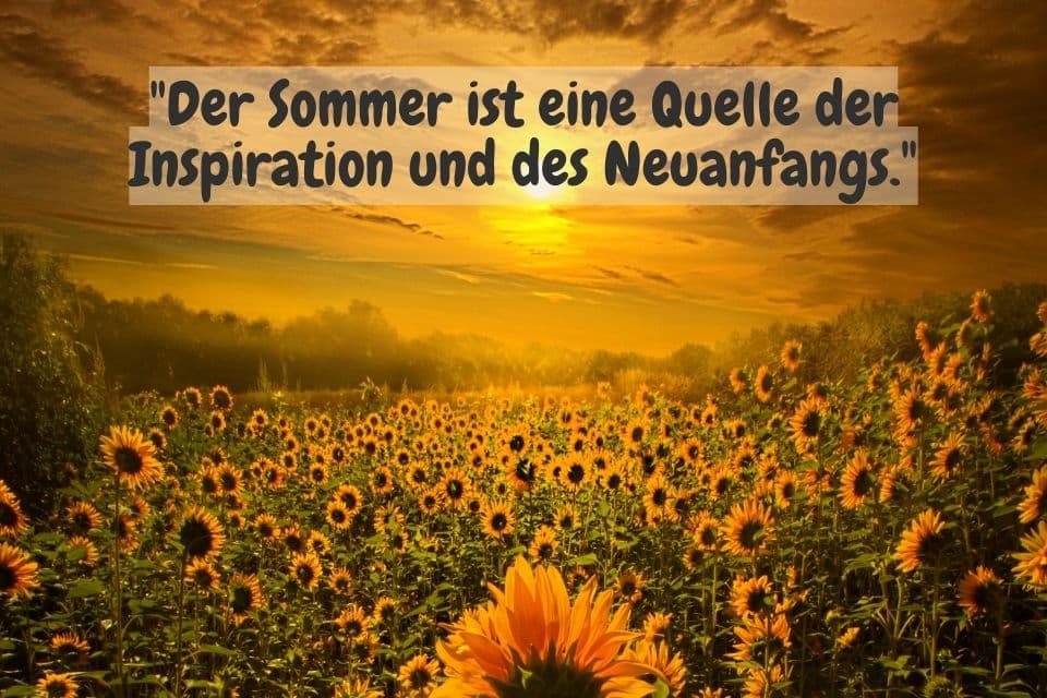Sonnenblumenfeld und Zitat: "Der Sommer ist eine Quelle der Inspiration und des Neuanfangs."