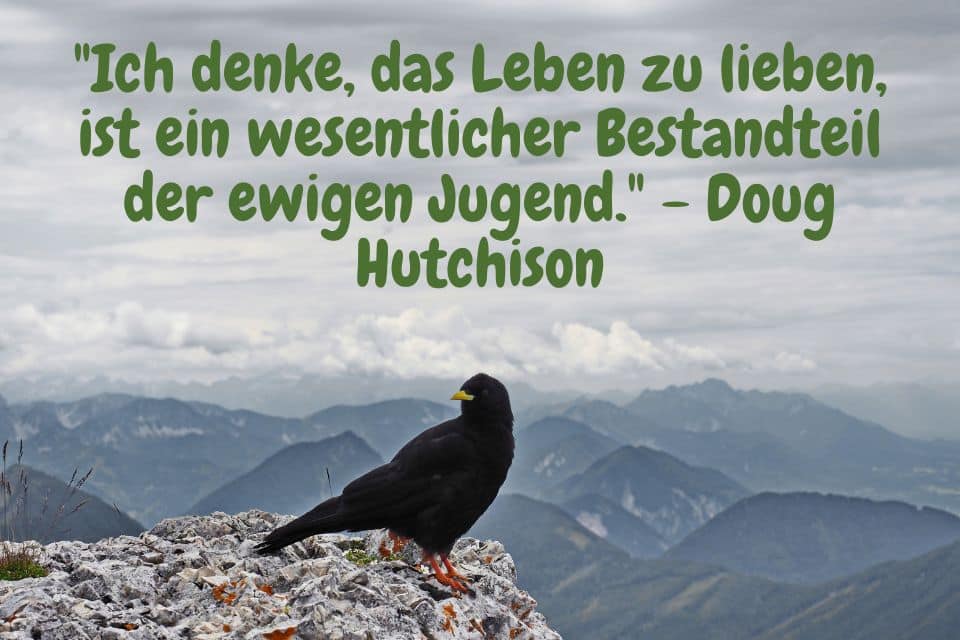Schwarzer Vogel in den Alpen mit Zitat: "Ich denke, das Leben zu lieben, ist ein wesentlicher Bestandteil der ewigen Jugend." - Doug Hutchison