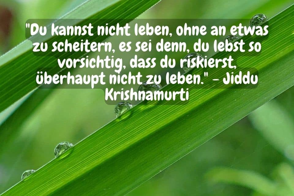 Grüne Blätter mit Regentropfen und Zitat: "Du kannst nicht leben, ohne an etwas zu scheitern, es sei denn, du lebst so vorsichtig, dass du riskierst, überhaupt nicht zu leben." - Jiddu Krishnamurti