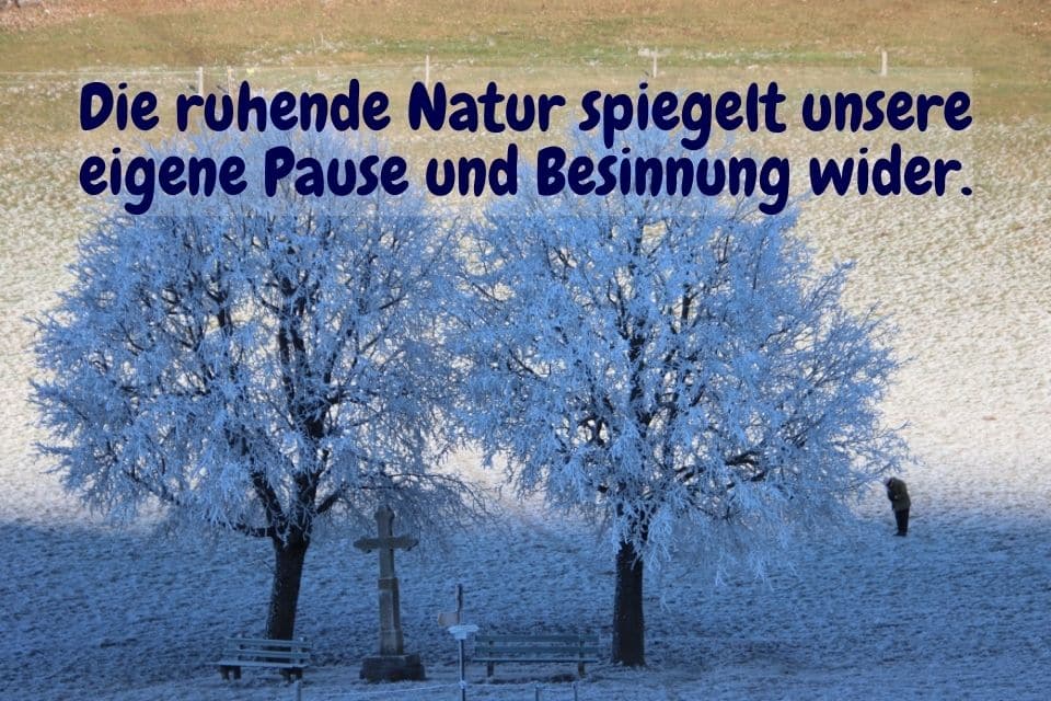 Winterlandschaft mit Metapher: Die ruhende Natur spiegelt unsere eigene Pause und Besinnung wider.