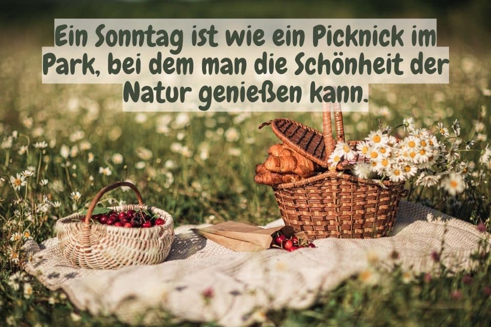 Picknick in der Blumenwiese und Zitat: Ein Sonntag ist wie ein Picknick im Park, bei dem man die Schönheit der Natur genießen kann.