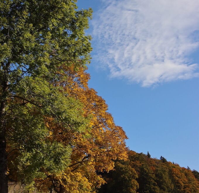 Stimmungsbild Mümliswil Herbst