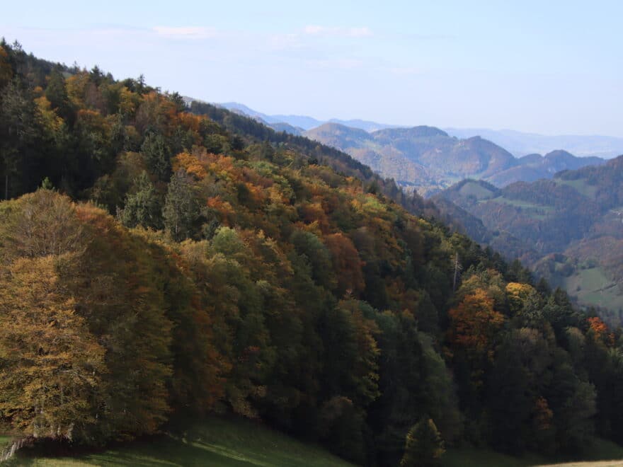 Bergkette und Herbstwald