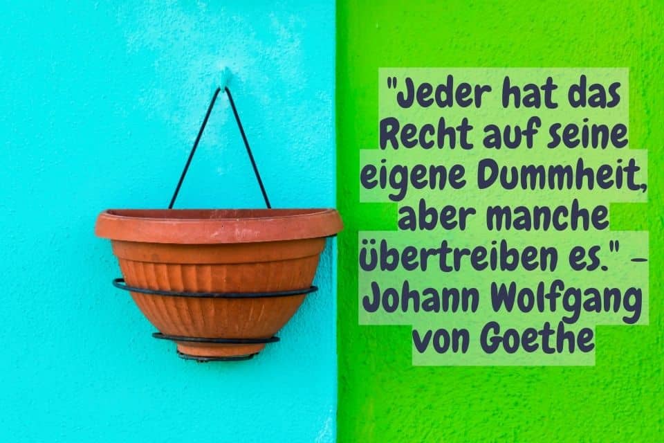 Blumentopf undZitat "Jeder hat das Recht auf seine eigene Dummheit, aber manche übertreiben es." - Johann Wolfgang von Goethe