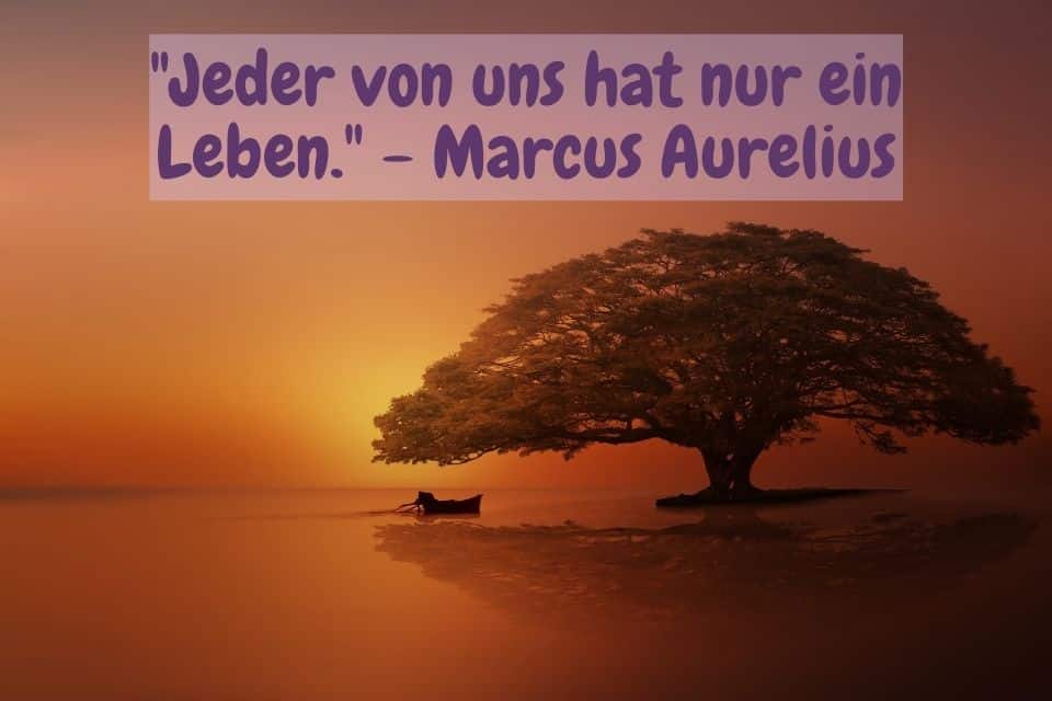 Schöner großer Baum am See und Ruderboot. Spruch:"Jeder von uns hat nur ein Leben." - Marcus Aurelius