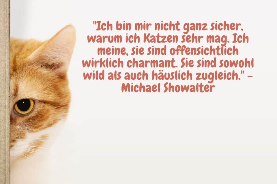 Katze schaut versteckt hinter einer Türe hervor. Zitat: "Ich bin mir nicht ganz sicher, warum ich Katzen sehr mag. Ich meine, sie sind offensichtlich wirklich charmant. Sie sind sowohl wild als auch häuslich zugleich." - Michael Showalter