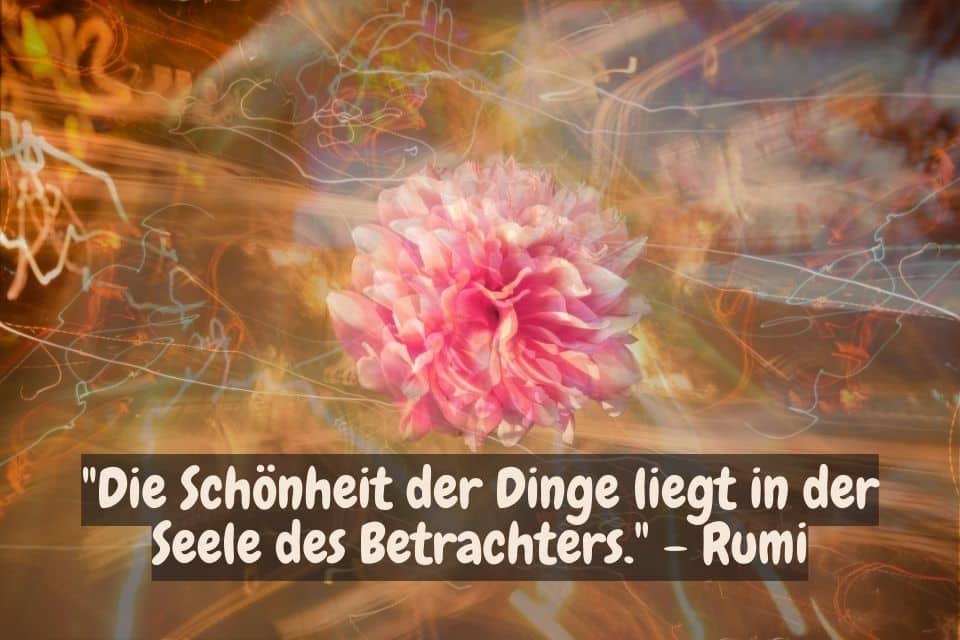 Pinke Blume mit Zitat: "Die Schönheit der Dinge liegt in der Seele des Betrachters." - Rumi