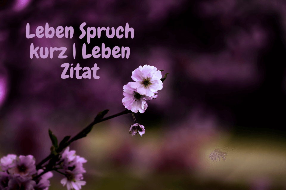 A purple flower picture with the inscription: life saying short | life quote