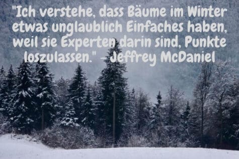 Winterlandschft schneebedeckte Bäume: "Ich verstehe, dass Bäume im Winter etwas unglaublich Einfaches haben, weil sie Experten darin sind, Punkte loszulassen." - Jeffrey McDaniel