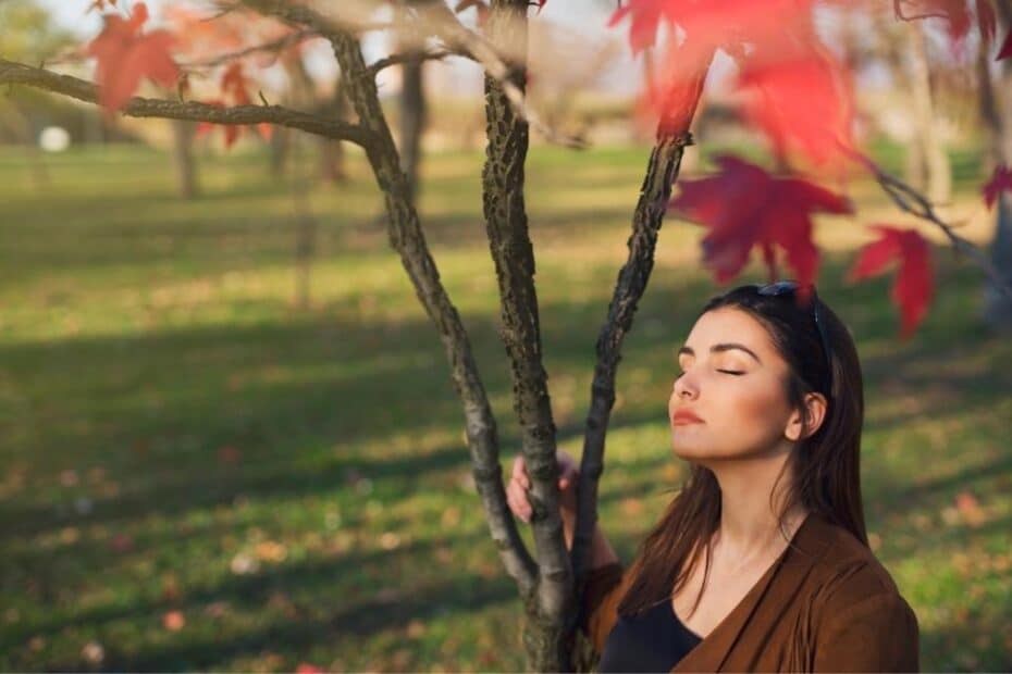 Une femme se détend au soleil d'automne - abandonnant l'harmonie