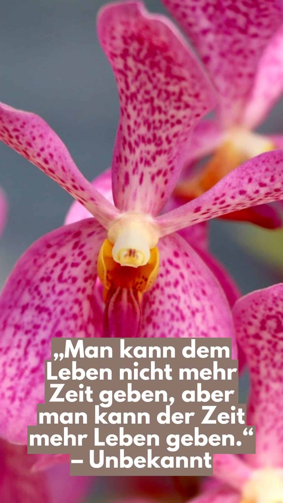 73 Sprüche über das Leben zum Nachdenken – Weisheiten