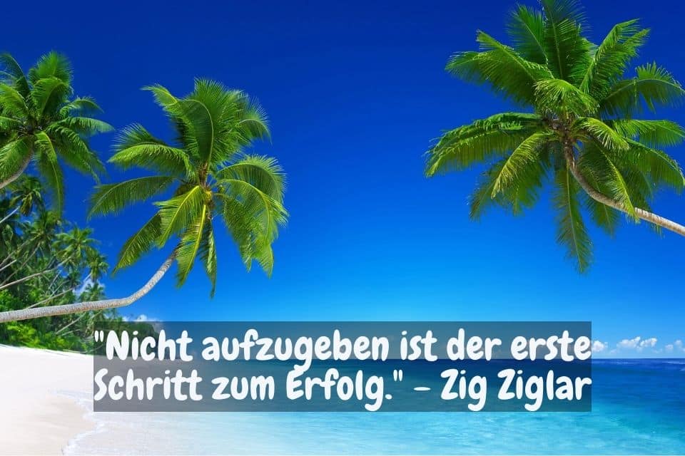 Blaues Meer mit zwei grünen Kokosnusspalmen. Zitat: "Nicht aufzugeben ist der erste Schritt zum Erfolg." - Zig Ziglar