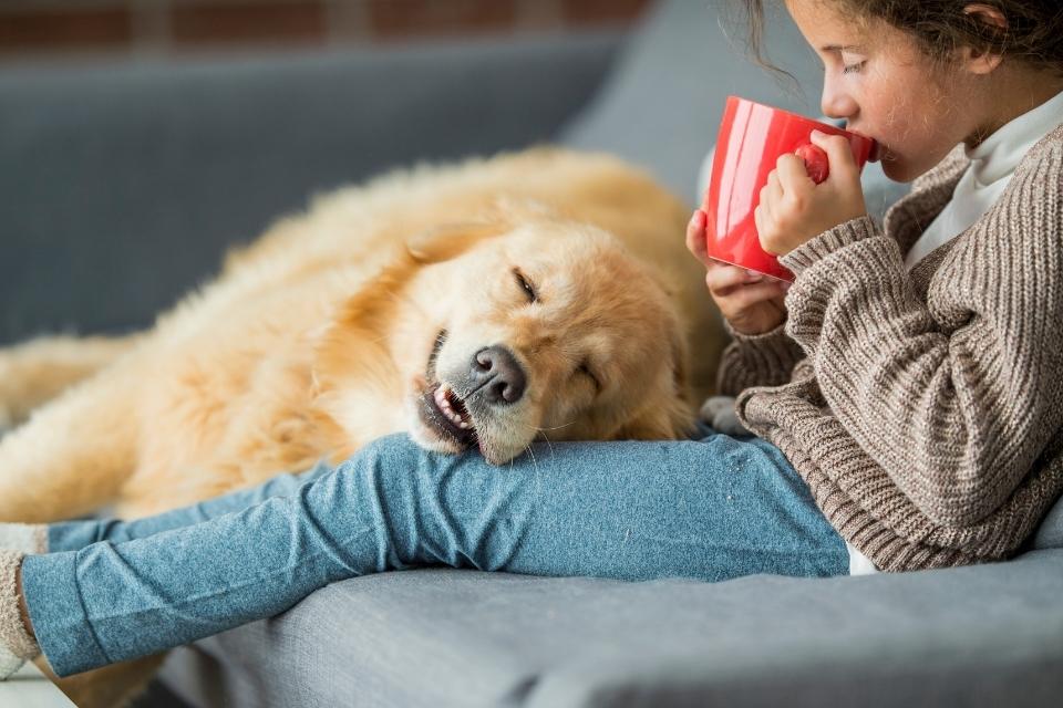 Une fille est assise avec un chien sur le canapé et boit confortablement un chocolat - essayez-le avec confort