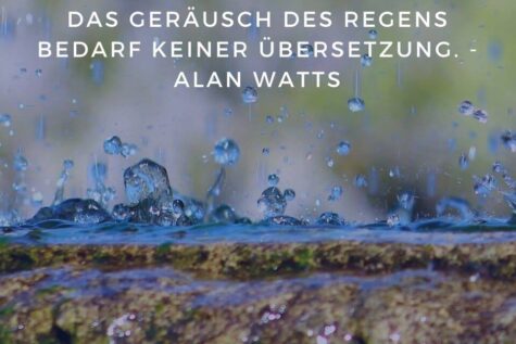 Regentropfen und Regengeräusche zum Einschlafen - Das Geräusch des Regens bedarf keiner Übersetzung. - Alan Watts