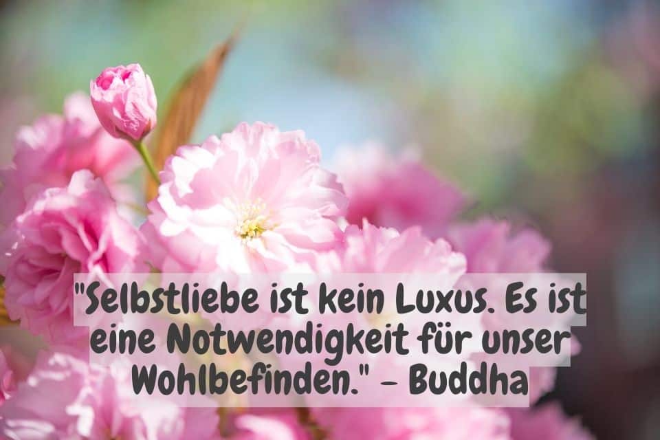 Frühlingsblumen Pink und Zitat: "Selbstliebe ist kein Luxus. Es ist eine Notwendigkeit für unser Wohlbefinden." - Buddha