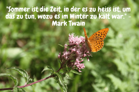 Schmetterlin - Sommer ist die Zeit, in der es zu heiss ist, um das zu tun, wozu es im Winter zu kalt war. - Mark Twain