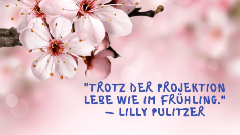 Frühlingsblühte - Trotz der Projektion lebe wie im Frühling. - Lilly Pulitzer