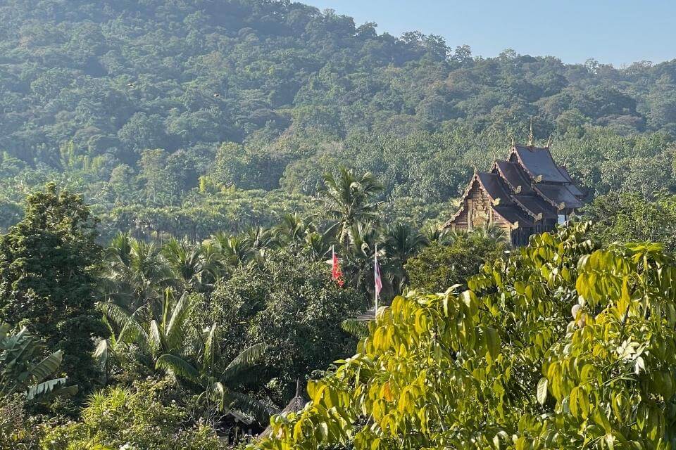 Waldbecken in Thailand mit Blick auf eine Tempel - 31 tiefgründige
