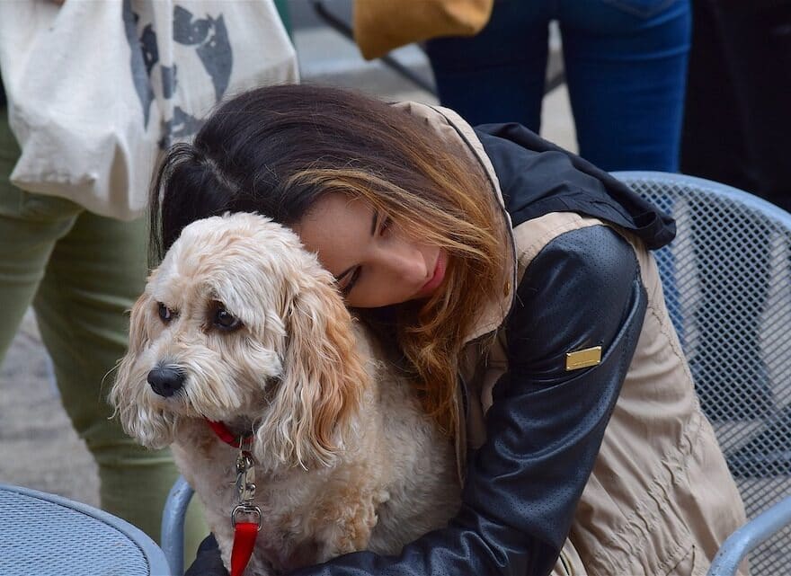 Eine Frau umarm ihren Hund - Warum die Berührung so effektiv ist