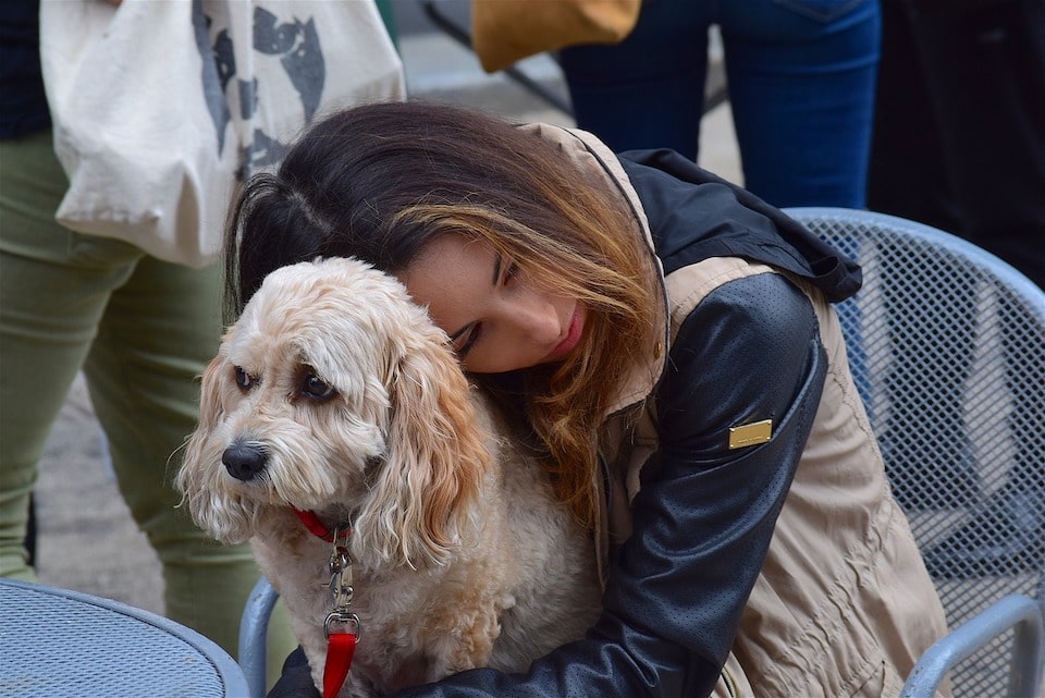 Eine Frau umarm ihren Hund - Warum die Berührung so effektiv ist