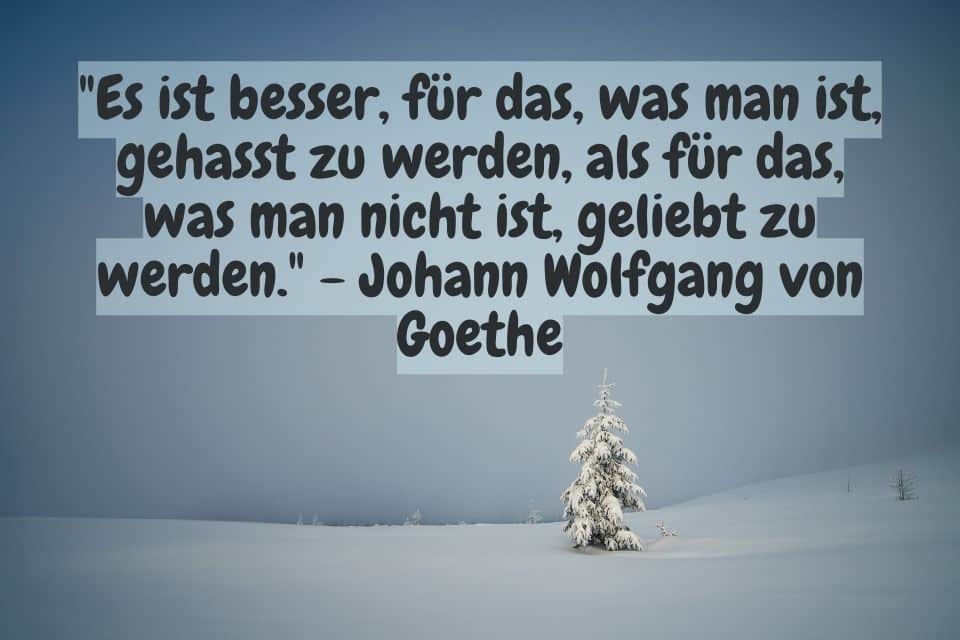 Schneelandschaft mit weißem Tannenbaum und Zitat: "Es ist besser, für das, was man ist, gehasst zu werden, als für das, was man nicht ist, geliebt zu werden." - Johann Wolfgang von Goethe
