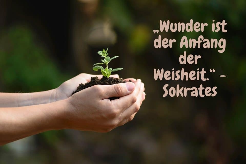 Eine Hand hält Erde mit einem Setzling in den Händen und Zitat im Hintergrund „Wunder ist der Anfang der Weisheit.“ - Sokrates