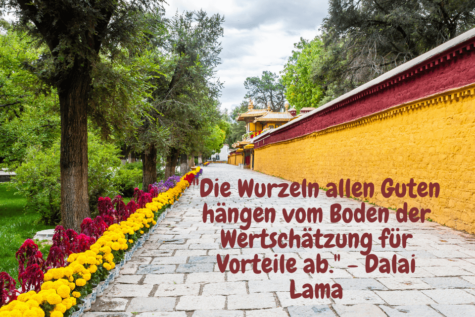 "Die Wurzeln allen Guten hängen vom Boden der Wertschätzung für Vorteile ab." - Dalai Lama