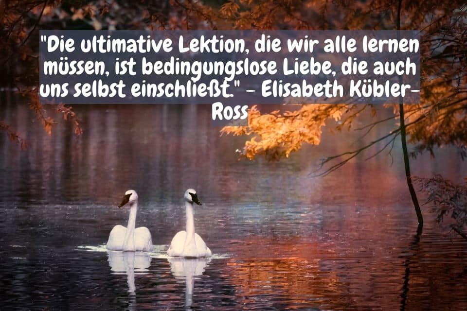 Zwei Schwäne schwimmen nebeneinander mit Zitat: 40 inspirierende Zitate von Elisabeth Kübler-Ross